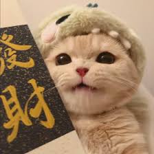 Ảnh đại diện người dùng Thanh Mai